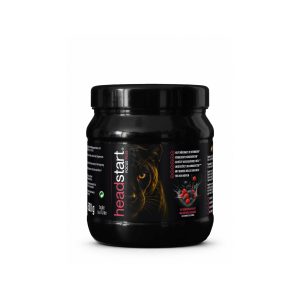 Getränkepulver Wild berry 500g