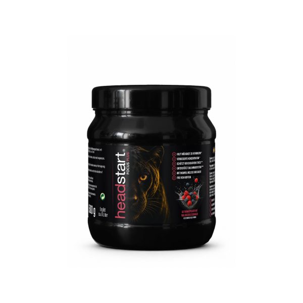 Getränkepulver Wild berry 500g